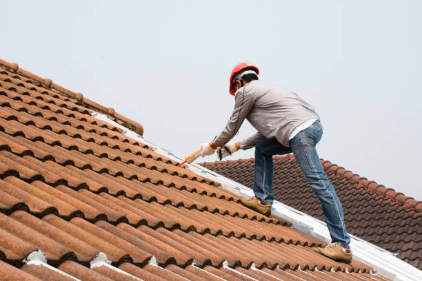 Best Roof Moss and Algae Removal  in Judson, SC